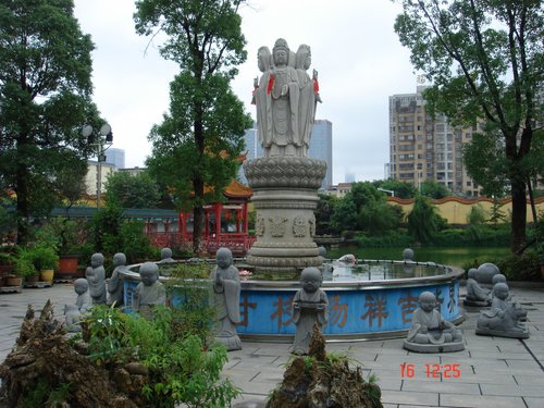 Changsha tengkin review images