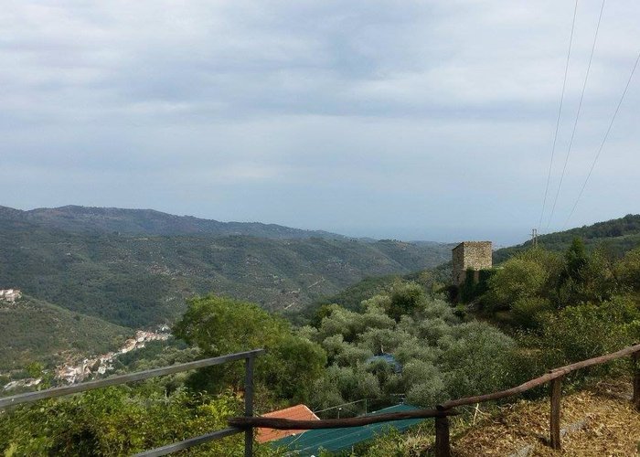 Panorama