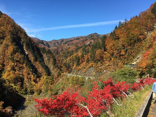 21年 白山市で絶対外さないおすすめ観光スポットトップ10 定番から穴場まで トリップアドバイザー