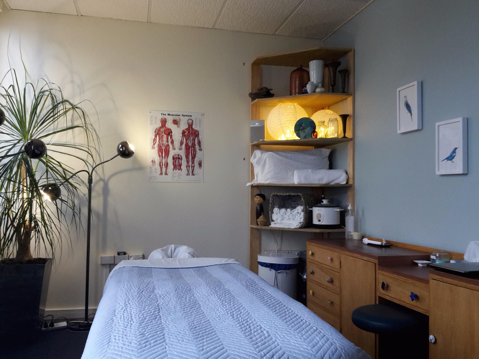 NAPIER CITY MASSAGE THERAPY 2024 All You Need To Know BEFORE You Go   One Of Our Cosy Relaxed 