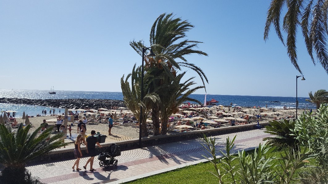 Playa Del CamisÓn Playa De Las Americas Ce Quil Faut Savoir Pour