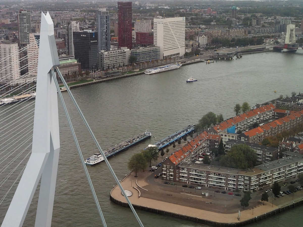 free tours rotterdam