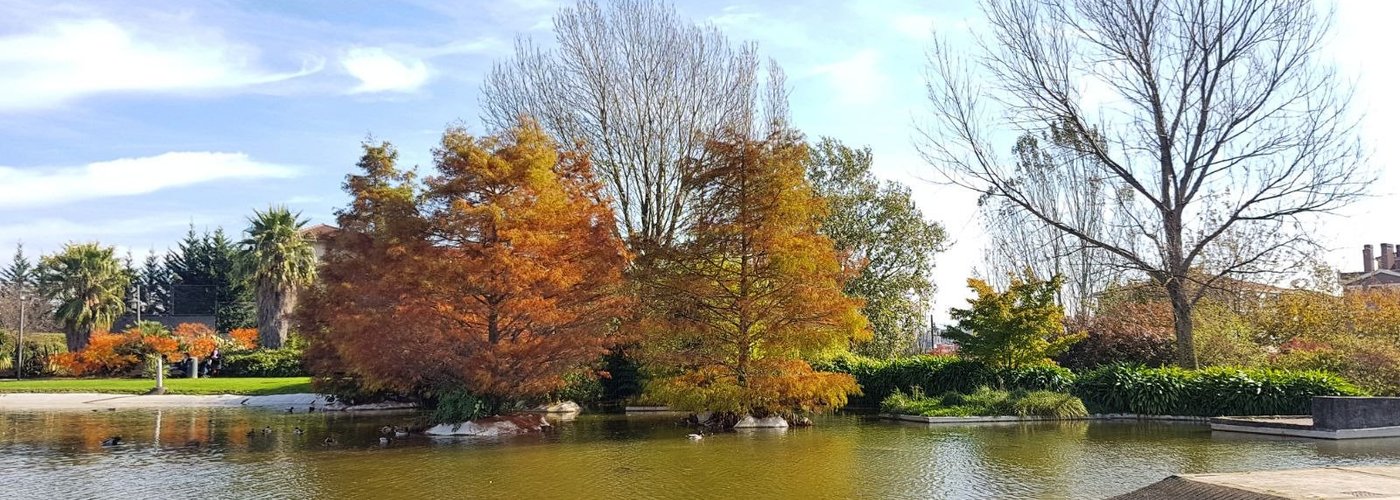 Lago del parque.