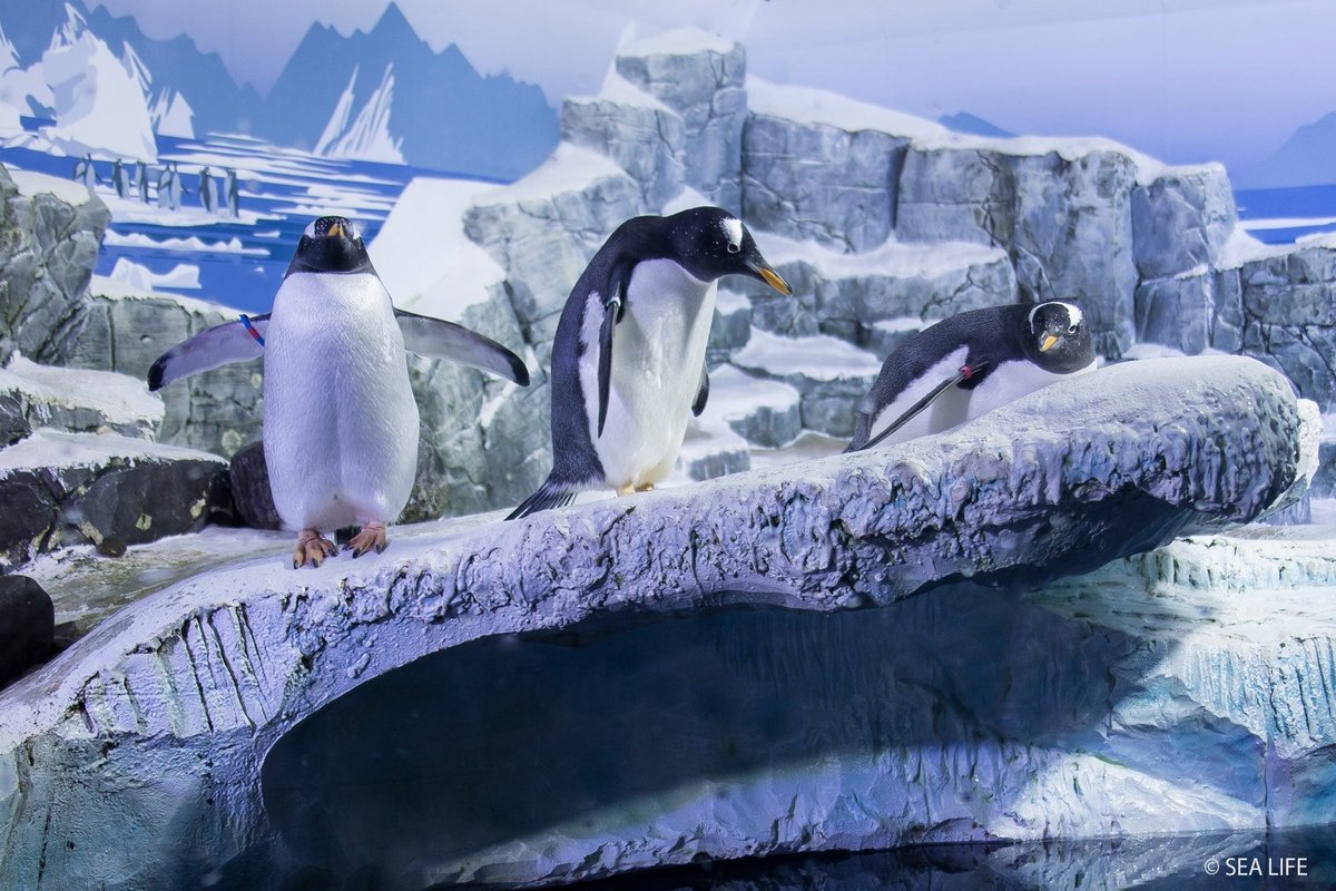 SEA LIFE Konstanz, Констанц: лучшие советы перед посещением - Tripadvisor