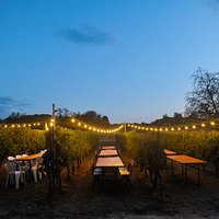 Scende la sera sulla cantina!