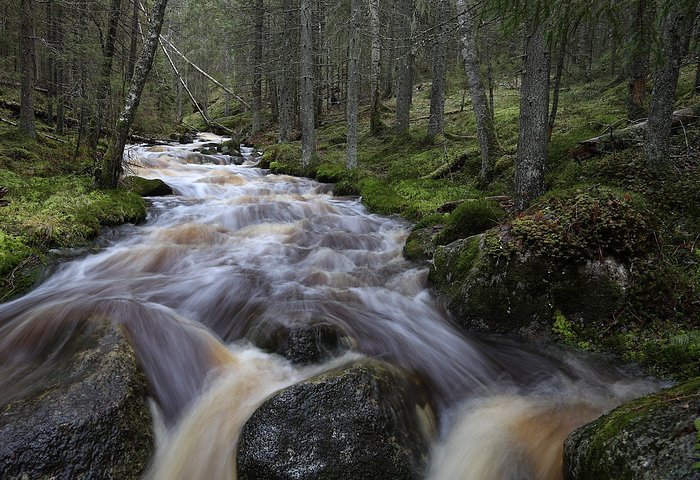 LAKEUDEN LUMO JA TUPA - Guest house Reviews (Yliharma, Finland)