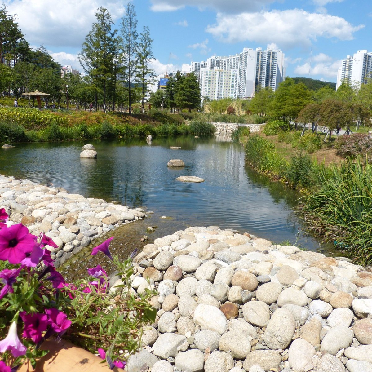 Busan Citizens Park, Пусан: лучшие советы перед посещением - Tripadvisor