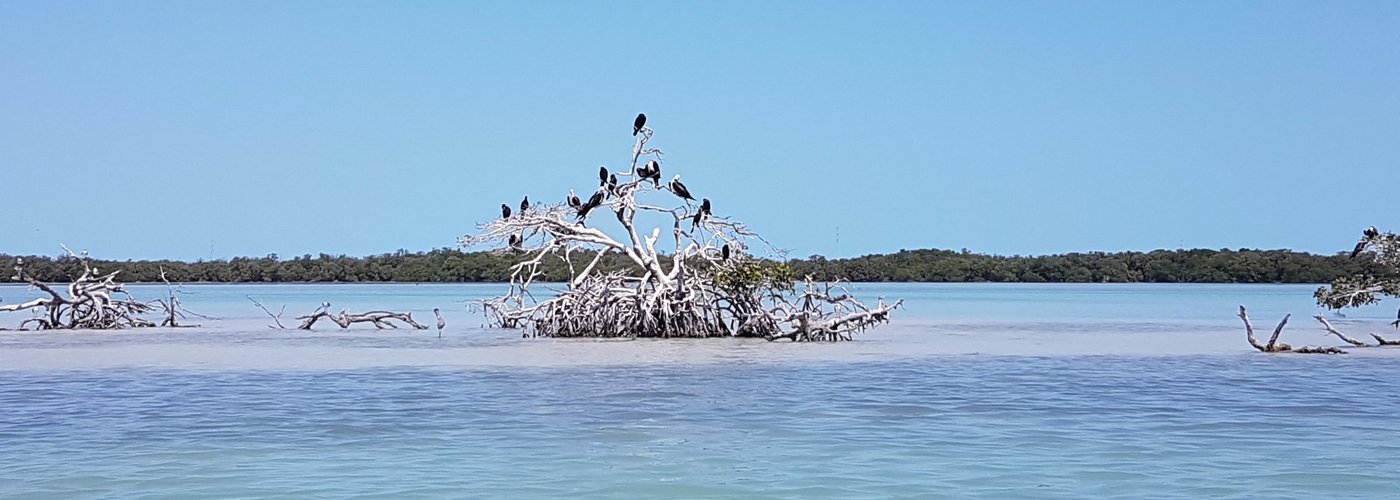 Isla Pájaros