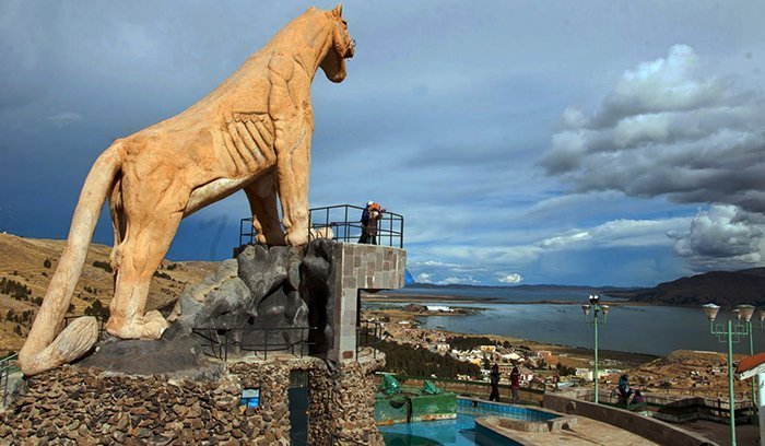 MIRADOR PUMA UTA PUNO PERÚ