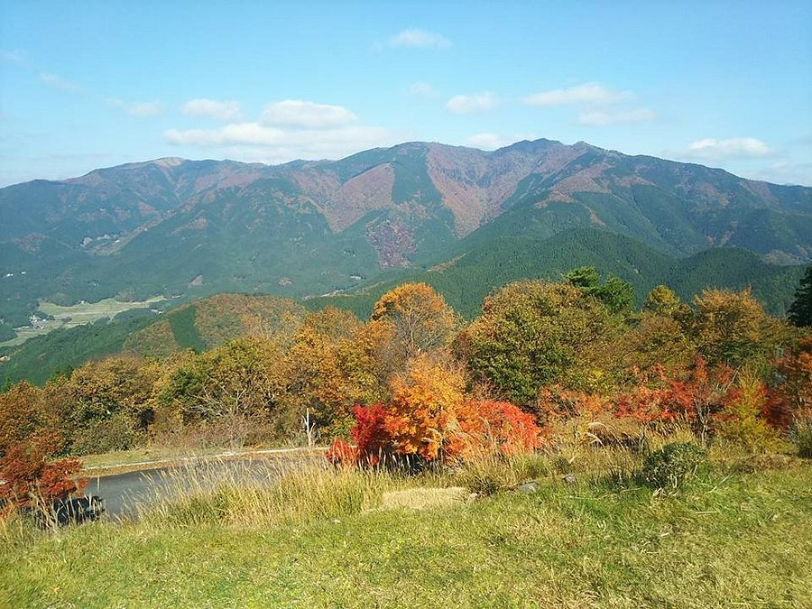 里山民宿 新屋 口コミ 宿泊予約 トリップアドバイザー