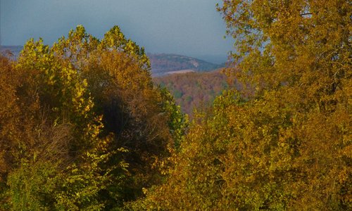 View from the back deck.