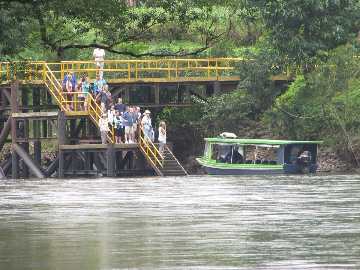 oasis nature tours sarapiqui