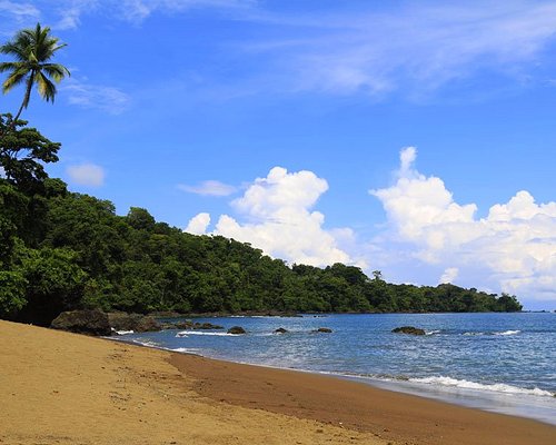 Drake Bay - Agujas River: 5 fotos - Puntarenas, Costa Rica