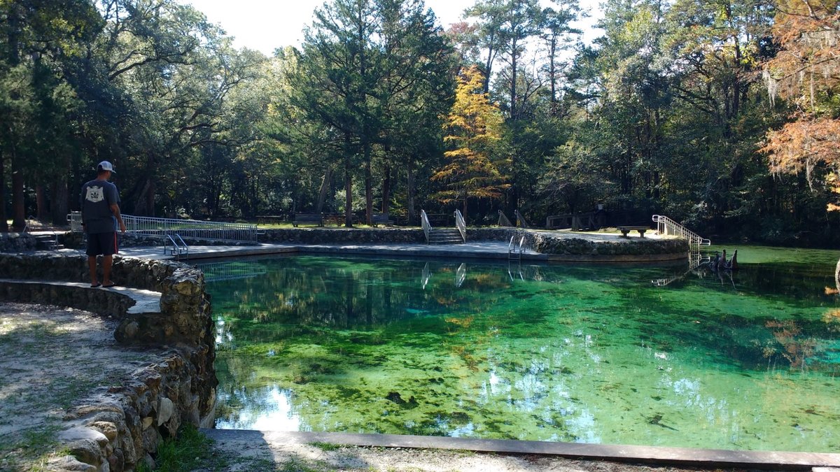 are dogs allowed at ponce de leon springs