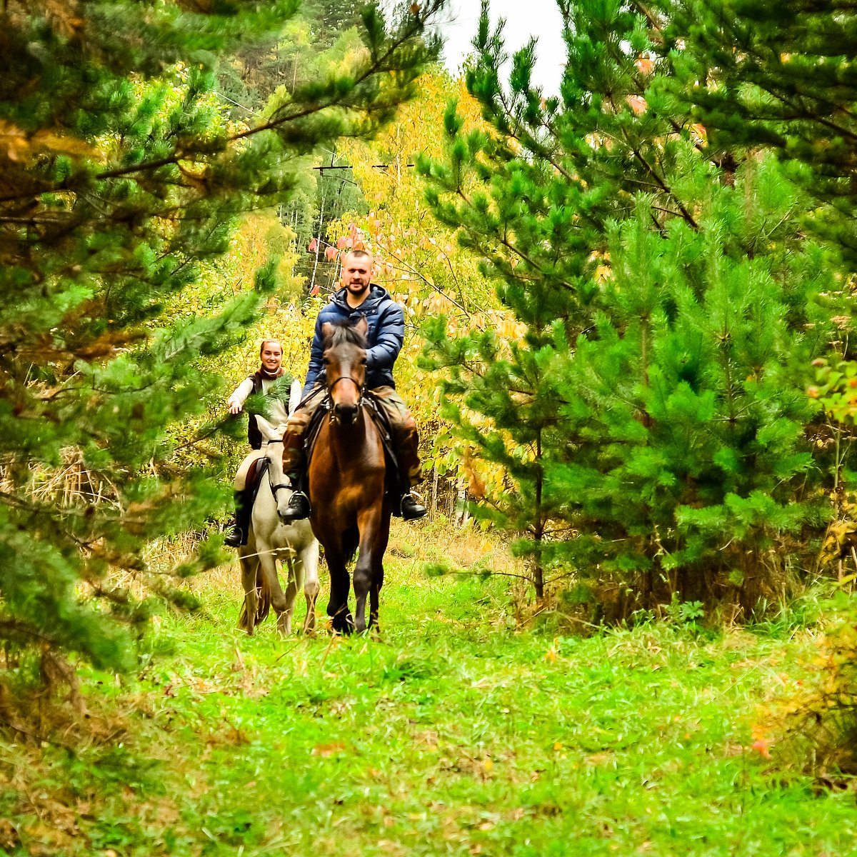 Добрый конь, Слизнево: лучшие советы перед посещением - Tripadvisor