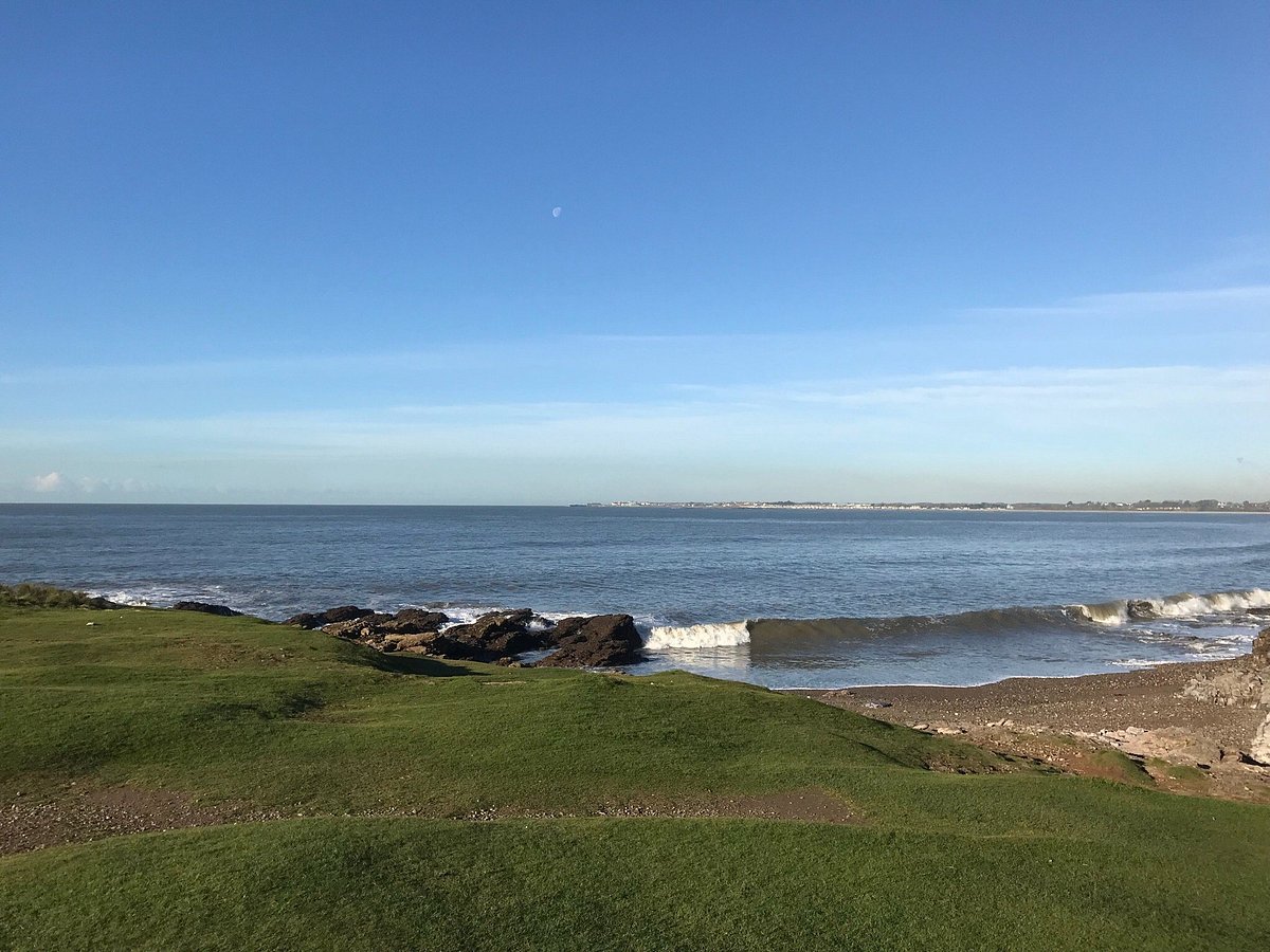 can you take dogs to ogmore beach