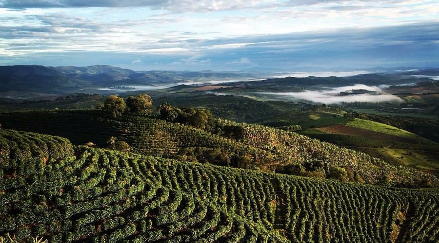 Vista aérea da Fazenda Sertão