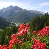 The 10 Best Things to do in Pragelato, Piedmont