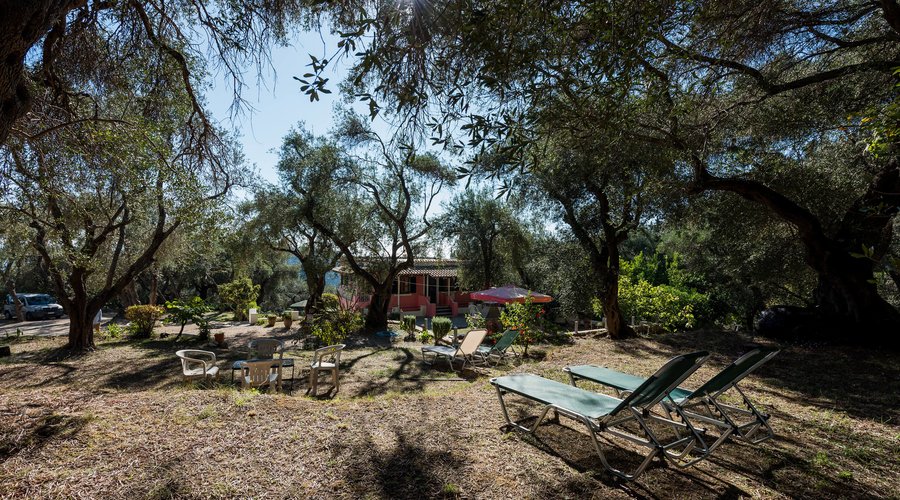 Grounds at the Ipsia Apartments