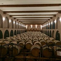 The aging wine cellar