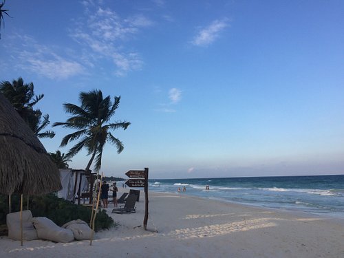 alma beach club tulum