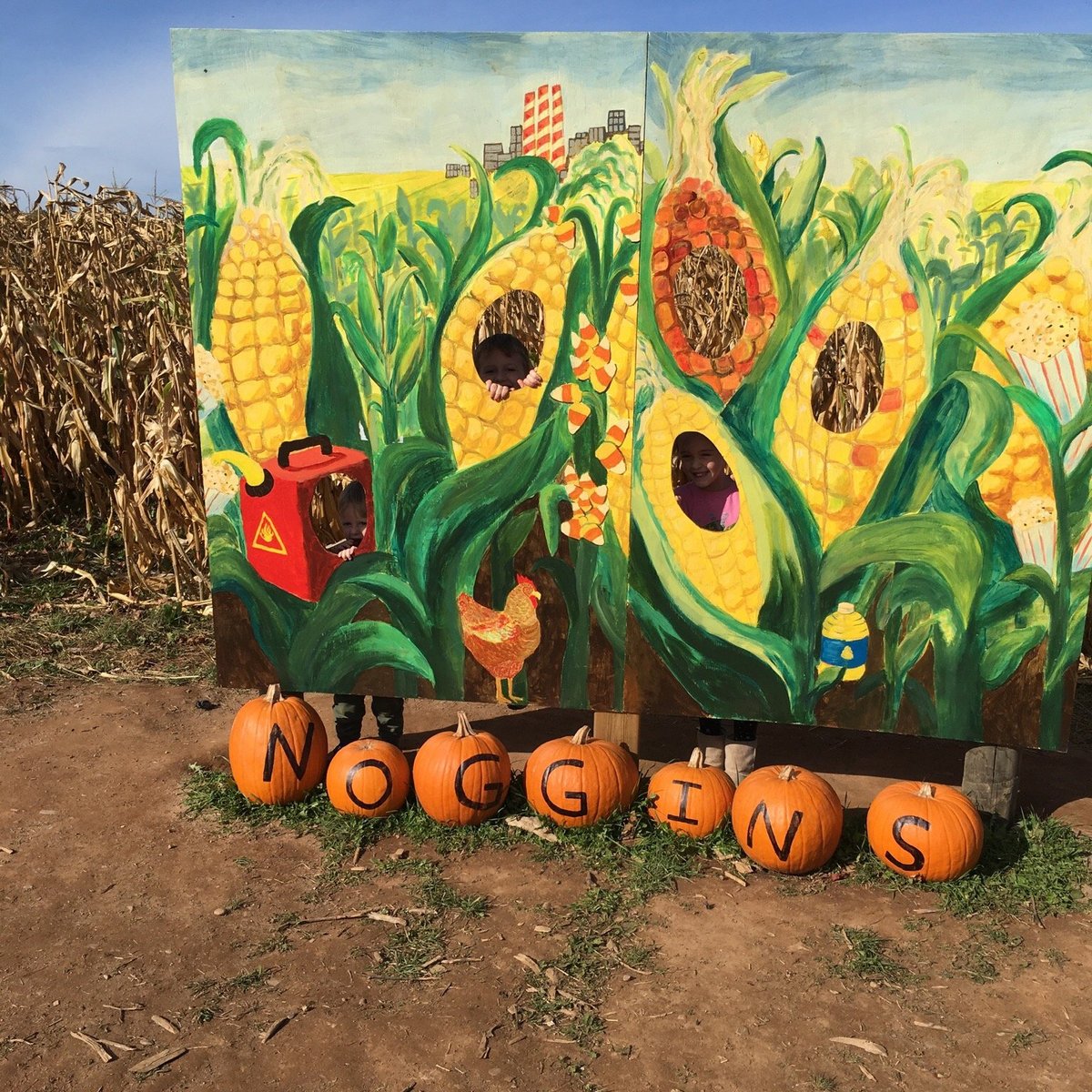 Noggins Corner Farm Market Wolfville Ce Quil Faut Savoir Pour Votre