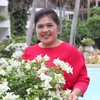 Special3Holiday