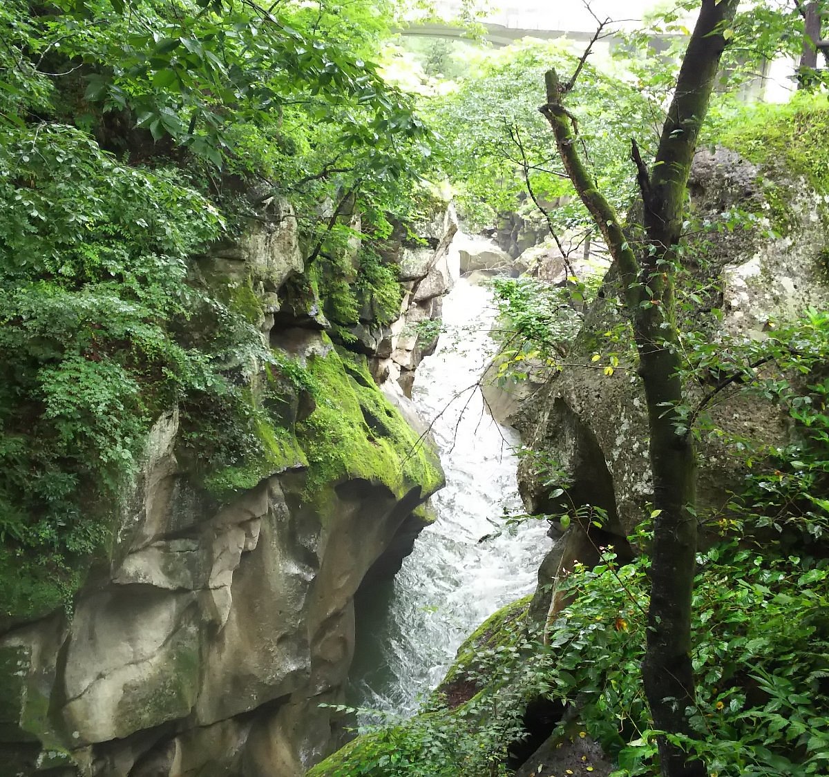 Rairaikyo Gorge Sendai All You Need To Know Before You Go