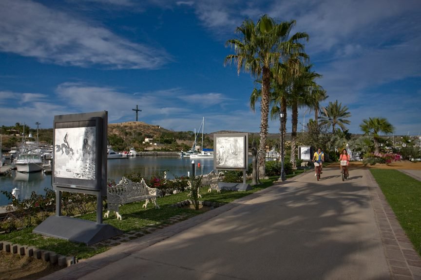 Marina Puerto Los Cabos All You Need to Know BEFORE You Go with