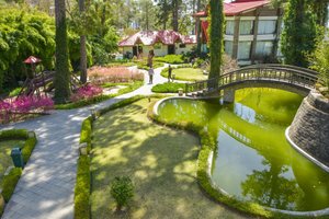 Imperial Heights Binsar in Almora, image may contain: Garden, Resort, Hotel, Grass