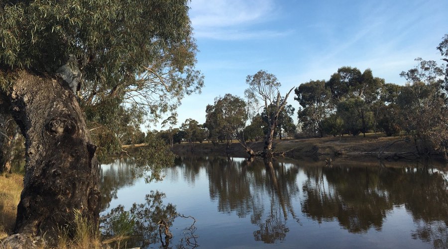 end of ballie st horsham. features all abilities fishing platform