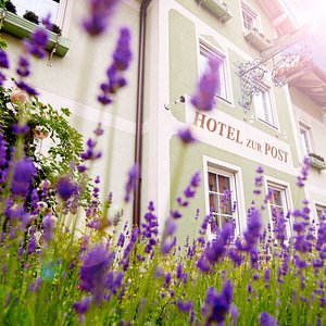 Das Gruene Bio-Hotel zur Post in Salzburg, image may contain: Purple, Villa, Flower, Garden