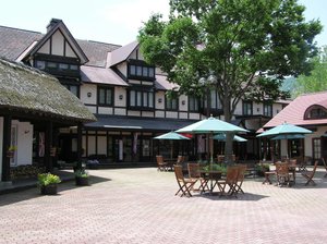 Shakespeare Hotel in Hakuba-mura, image may contain: Hotel, Resort, Plant, Neighborhood