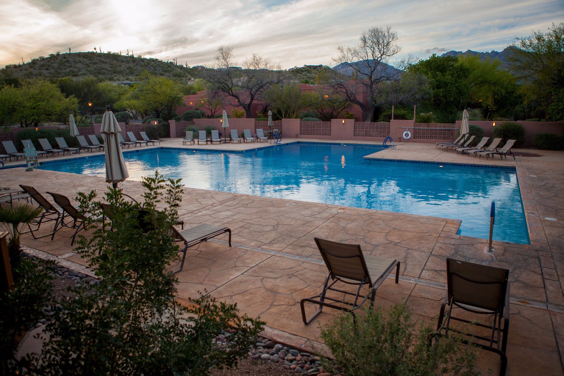 Canyon Ranch Wellness Resort Tucson Pool: Pictures & Reviews - Tripadvisor