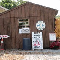 Gift shop at Alpacas of York