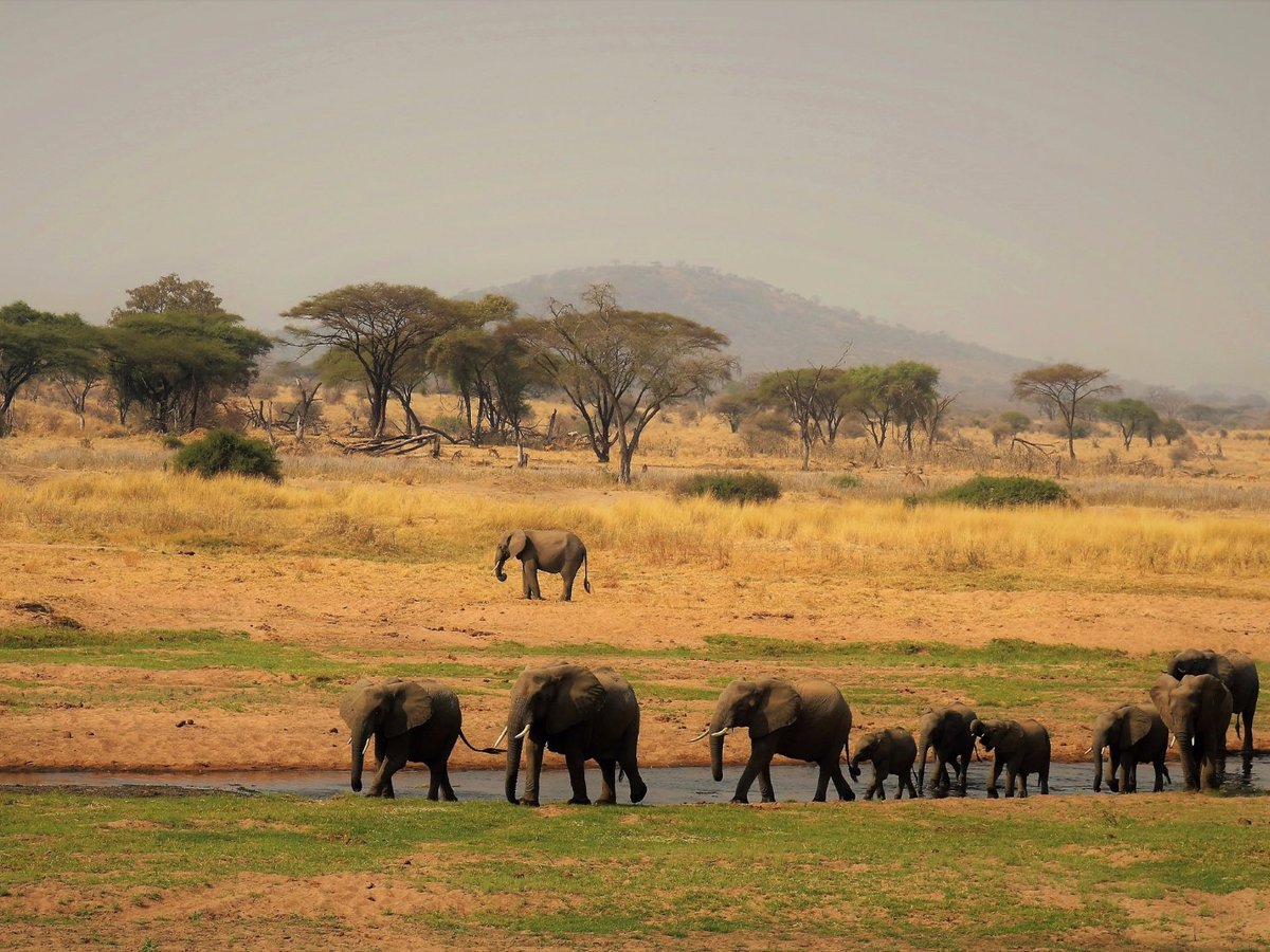 Safaris Partners (Morogoro) - All You Need to Know BEFORE You Go