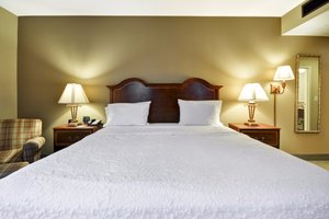Room & Suite