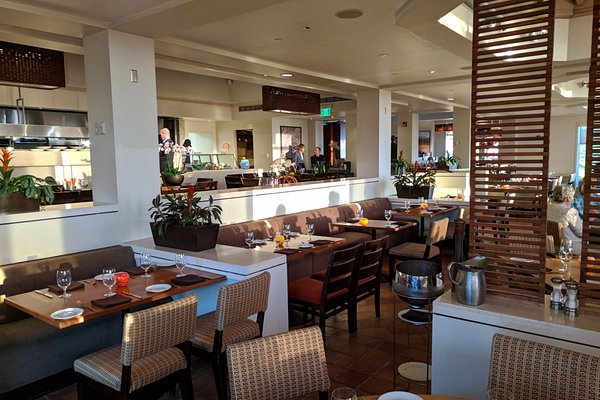 COUNTER CULTURE, Tampa - Restaurant Reviews, Photos & Reservations -  Tripadvisor