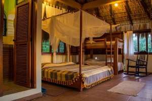 Room & Suite