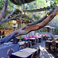 The Patio at Cliff's Edge.