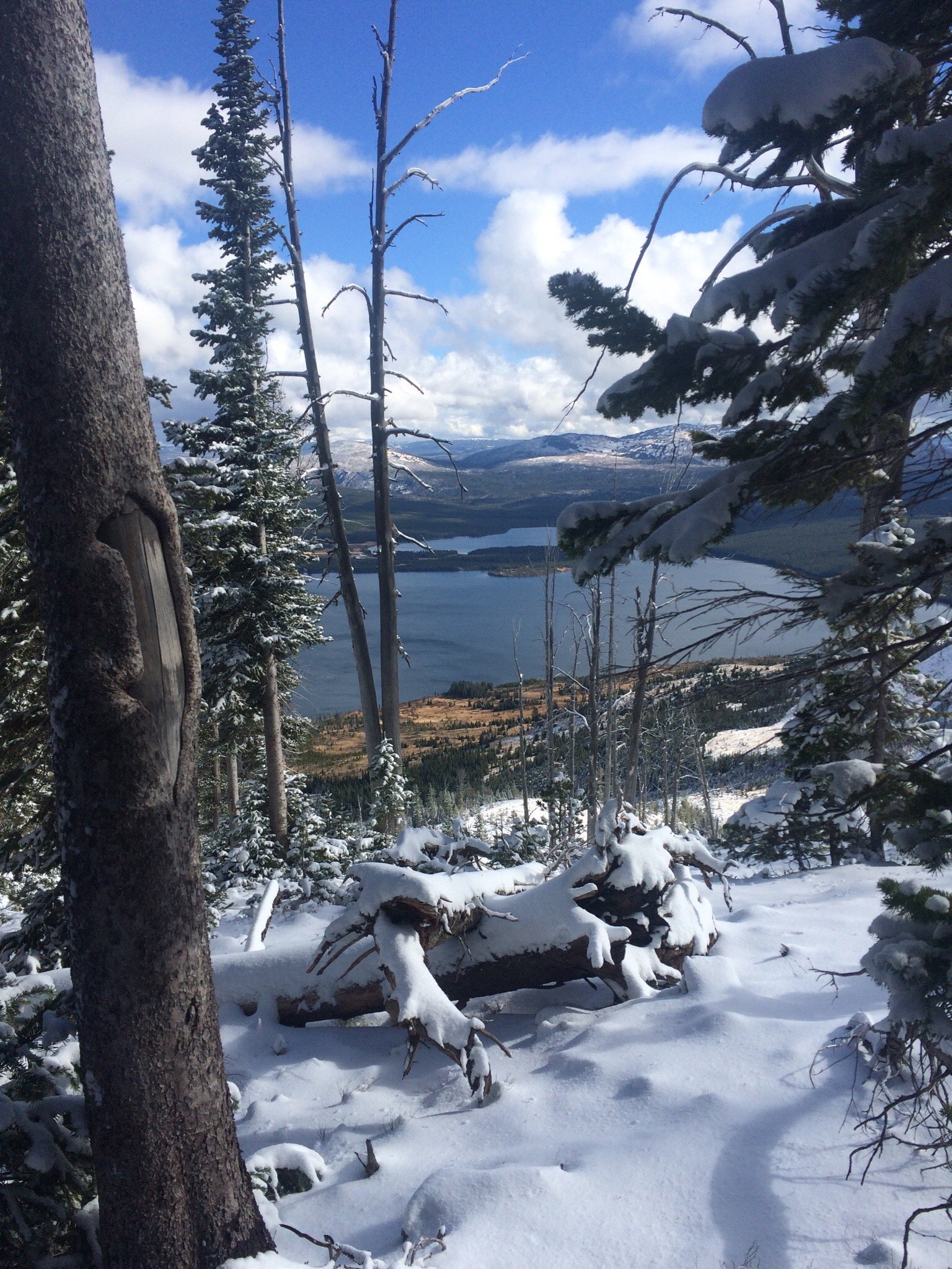 Heart lake trail clearance yellowstone