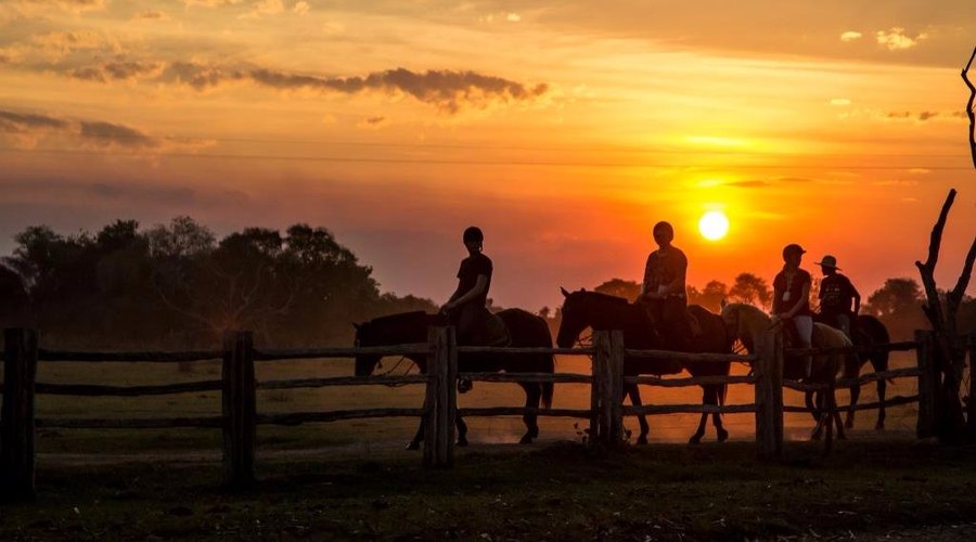 Passeio a Cavalo / Horseback Ride