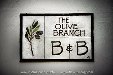 Imagen 19 de The Olive Branch
