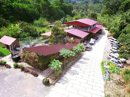Restoran Wonderland Valley Restoran Wonderland Valley