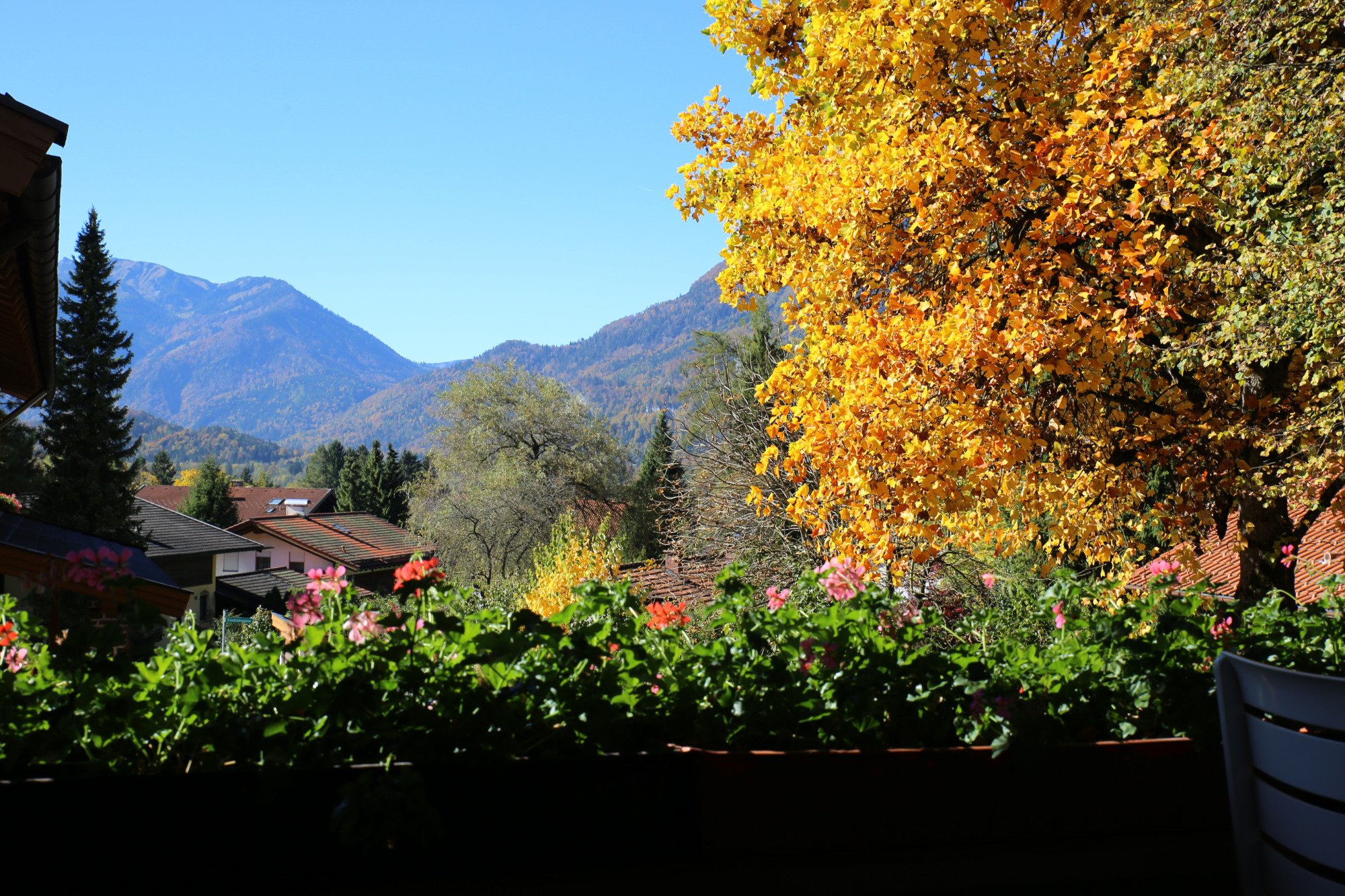 Hotel photo 7 of Landhotel Gabriele.