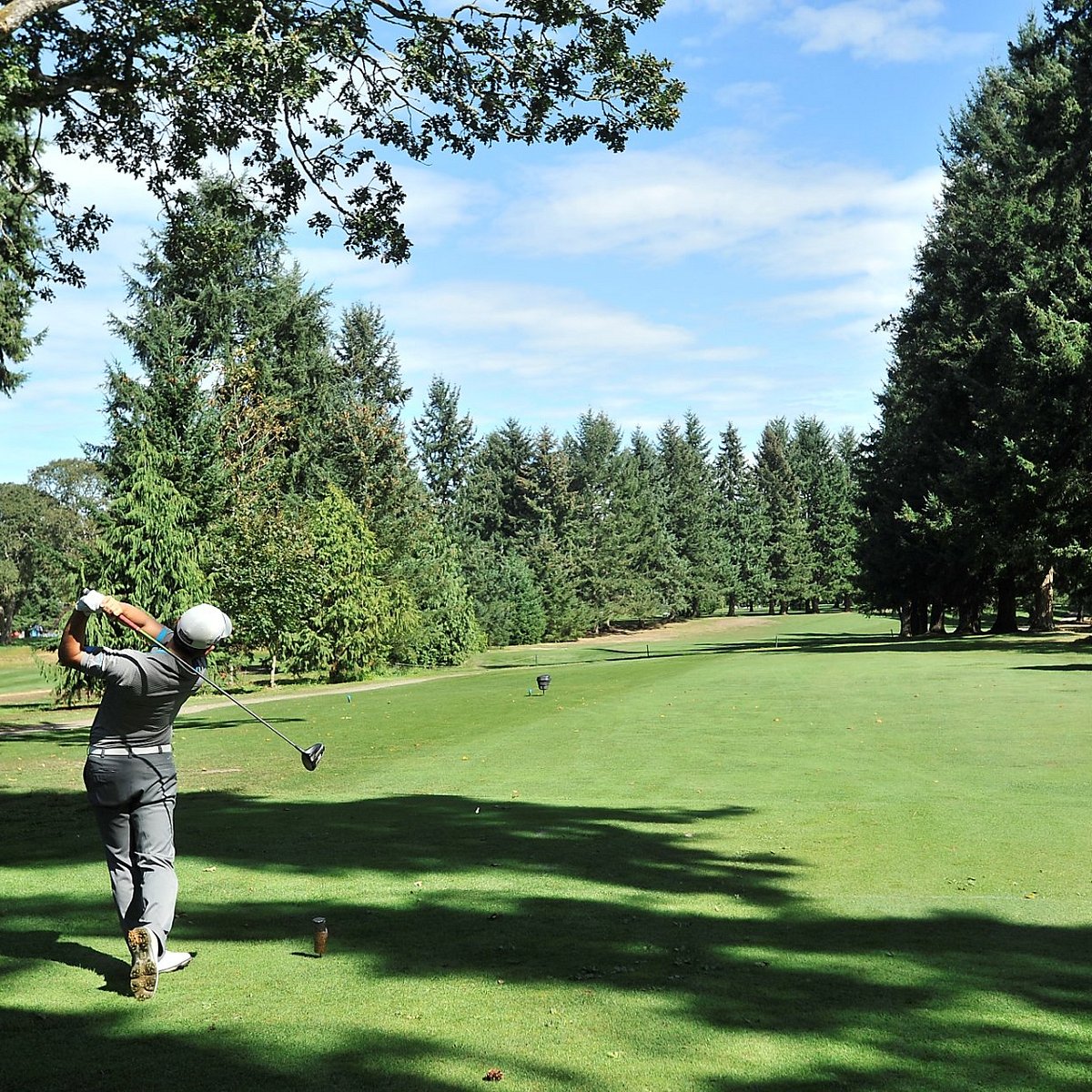 Meadow Park Golf Course Tacoma All You Need To Know Before You Go