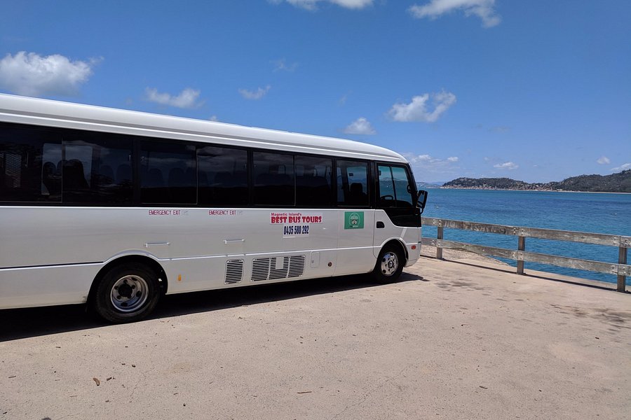 best bus tours magnetic island