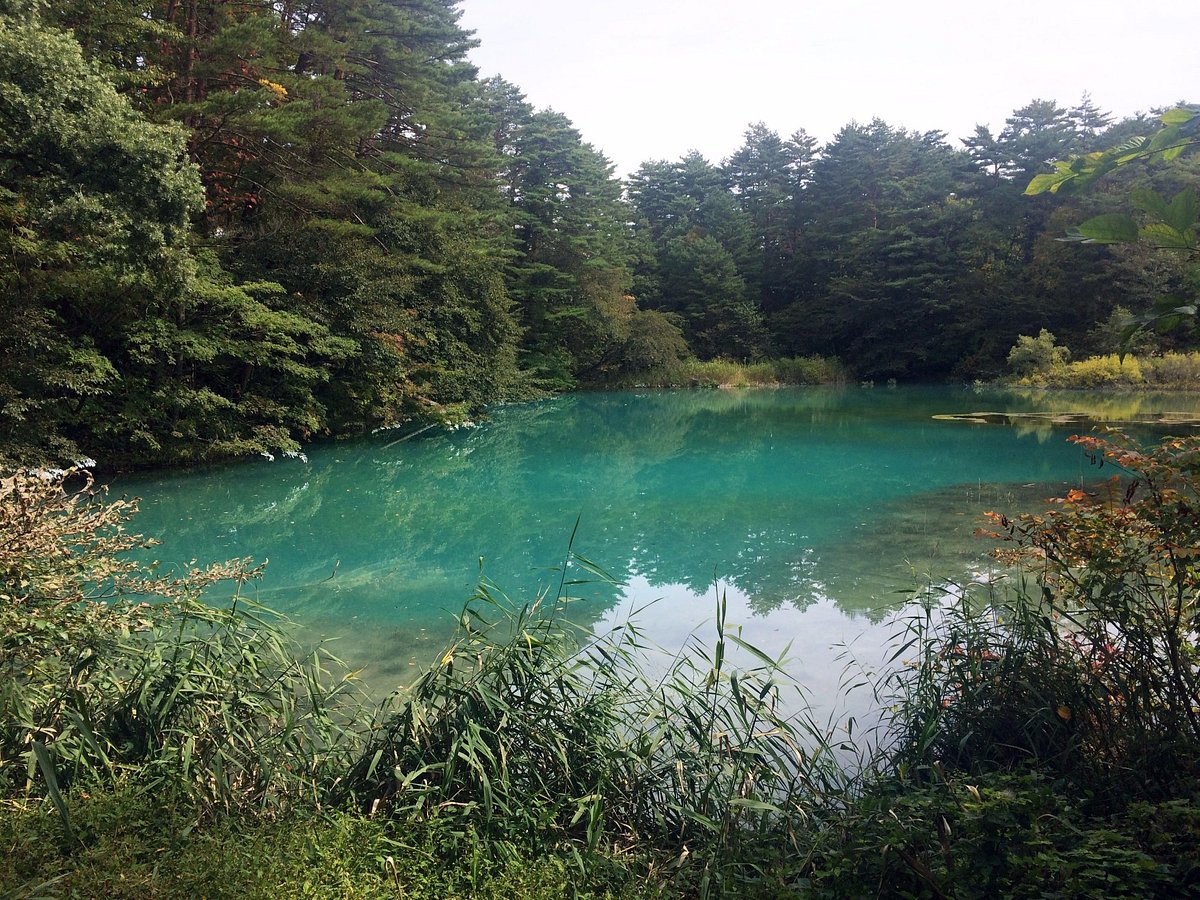Goshikinuma Lake 北盐原村 旅游景点点评 Tripadvisor