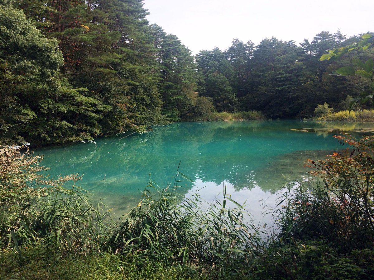 Goshikinuma Lake 北盐原村 旅游景点点评 Tripadvisor