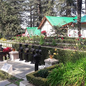 jakhoo temple places to visit shimla